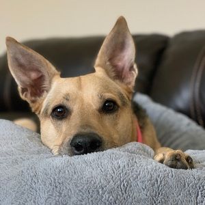 Meet your Posher, Marissa